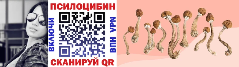 Галлюциногенные грибы ЛСД  купить наркотики сайты  Ветлуга 